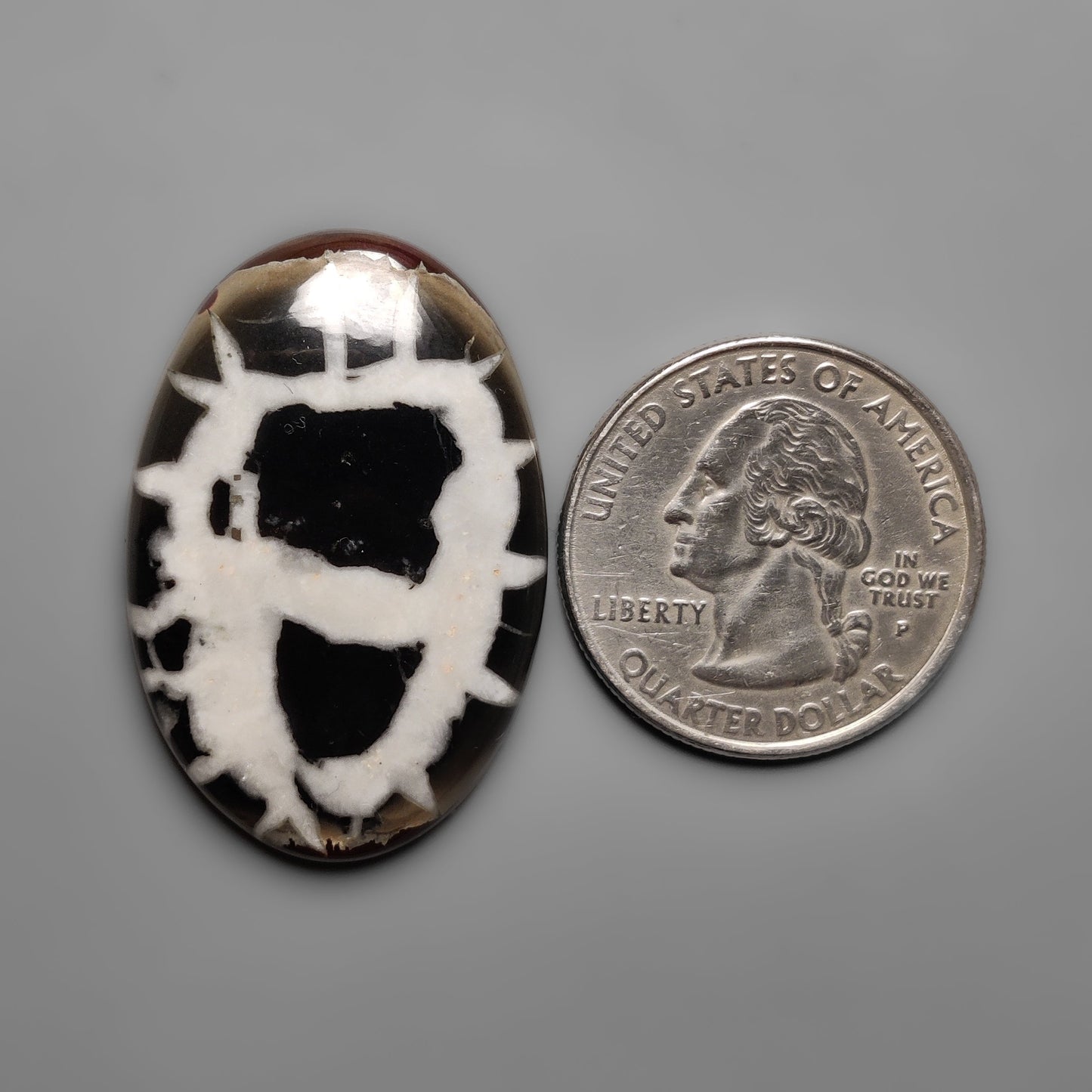 Septarian
