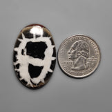 Septarian