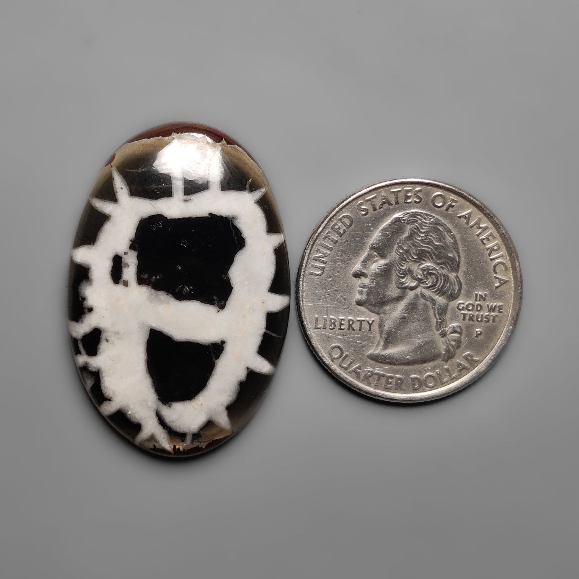 Septarian