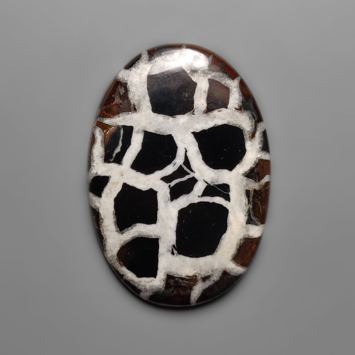 Septarian