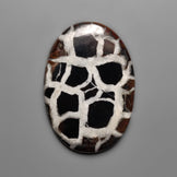 Septarian