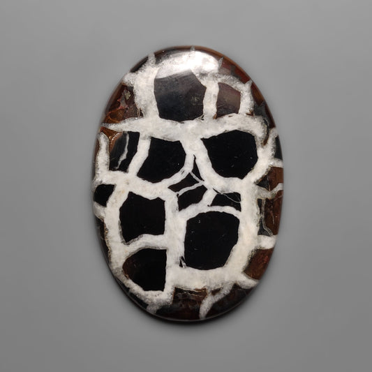 Septarian