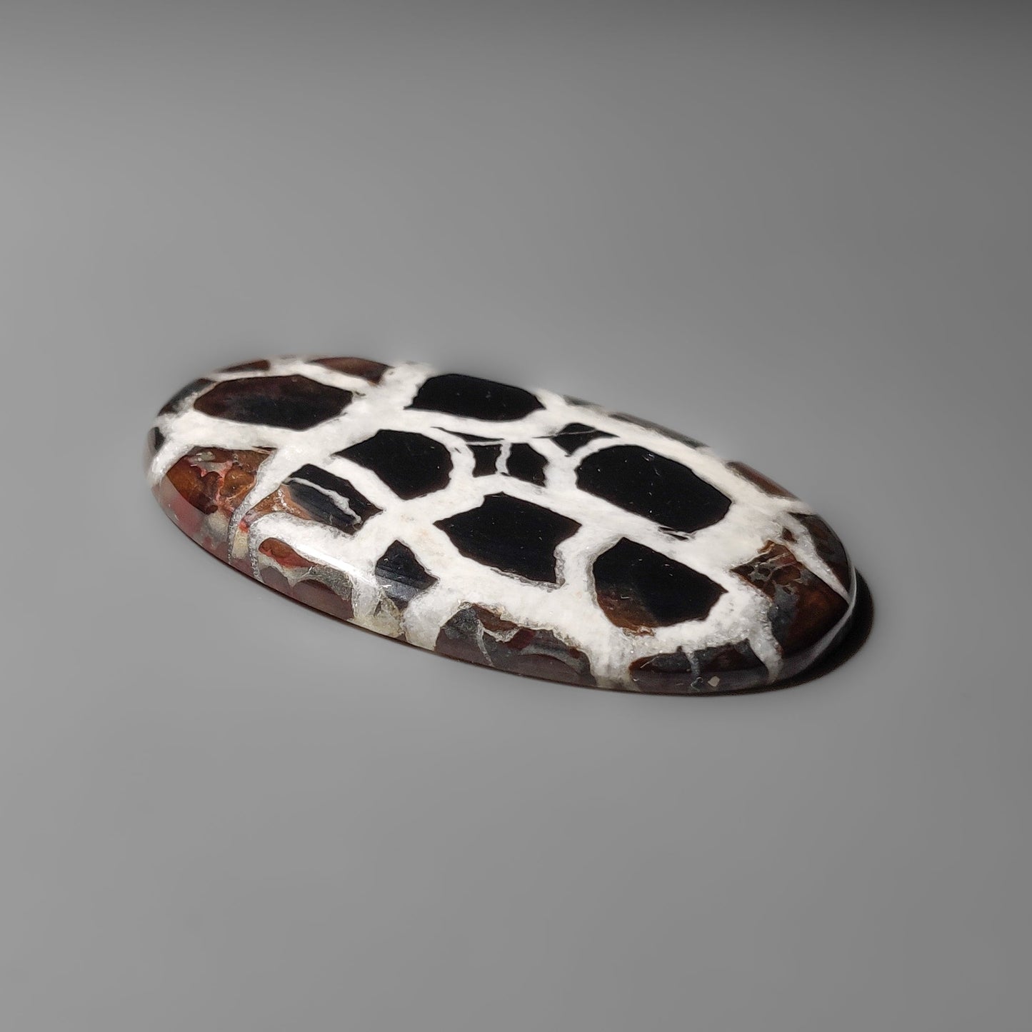 Septarian