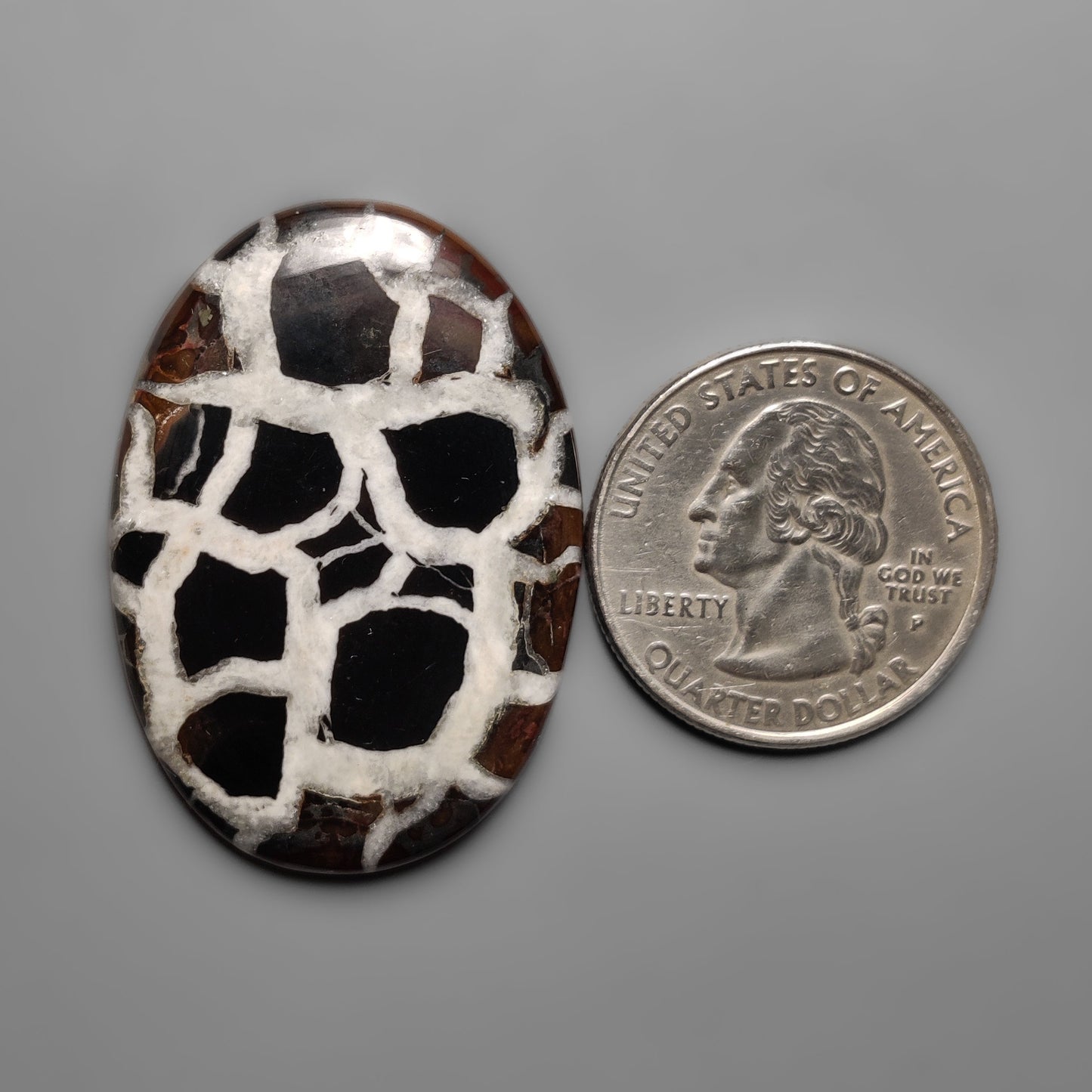 Septarian