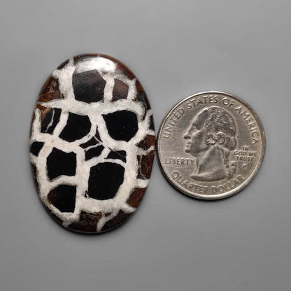 Septarian