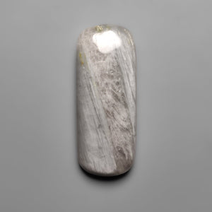 Silver Leaf Jasper Cabochon