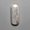 Silver Leaf Jasper