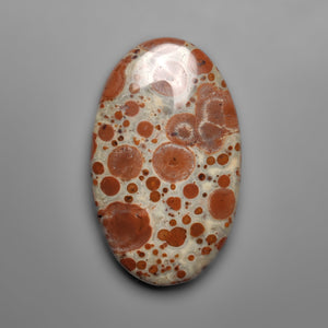 Mexican Asteroid Jasper Cabochon