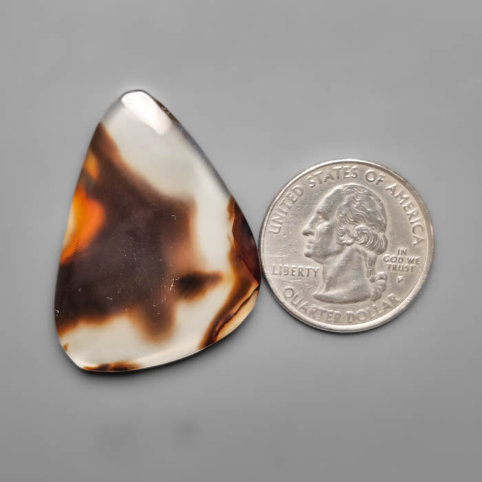 Montana Agate