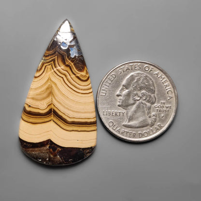 Schalenblende