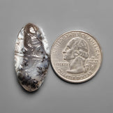 Dendritic Agate