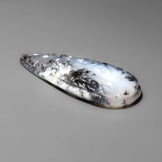 Dendritic Agate