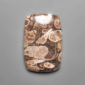 Turritella Jasper Cabochohn