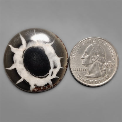 Septarian