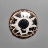 Septarian