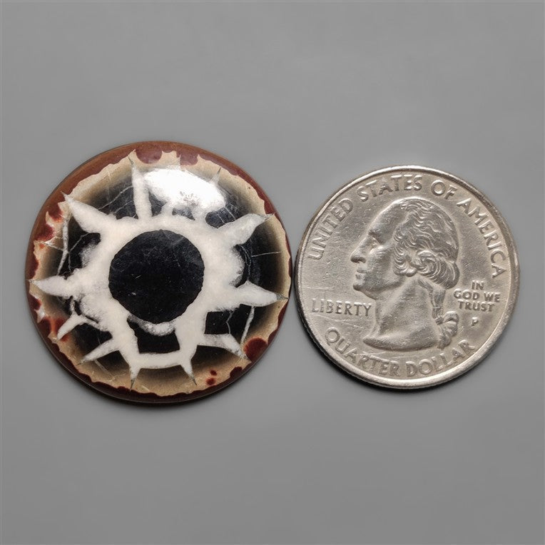 Septarian