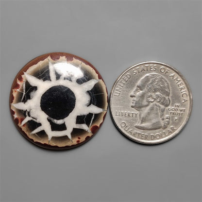 Septarian