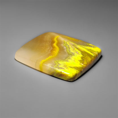 Bumble Bee Jasper
