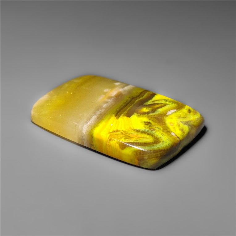 Bumble Bee Jasper