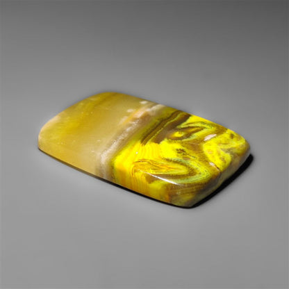 Bumble Bee Jasper
