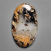 Dendritic Agate