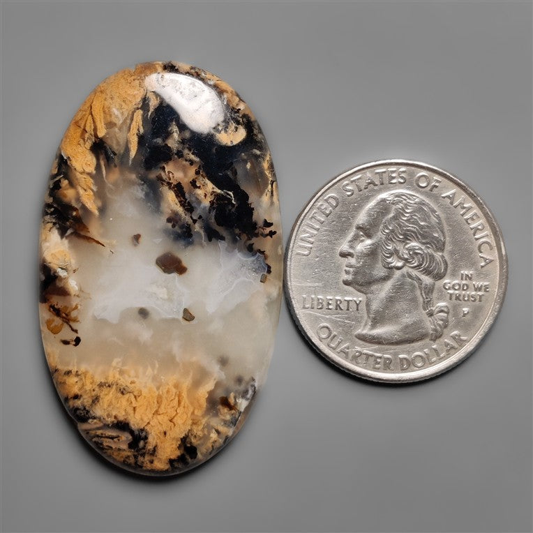 Dendritic Agate