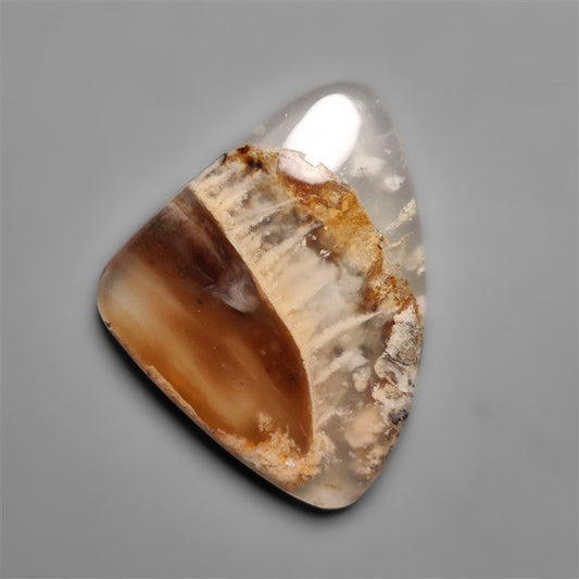 Dendritic Agate