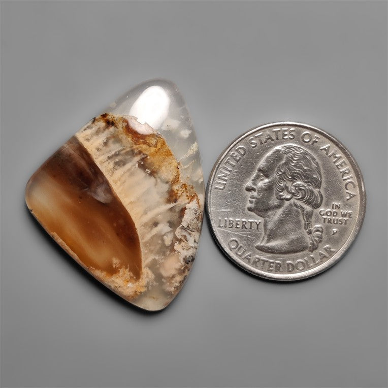 Dendritic Agate