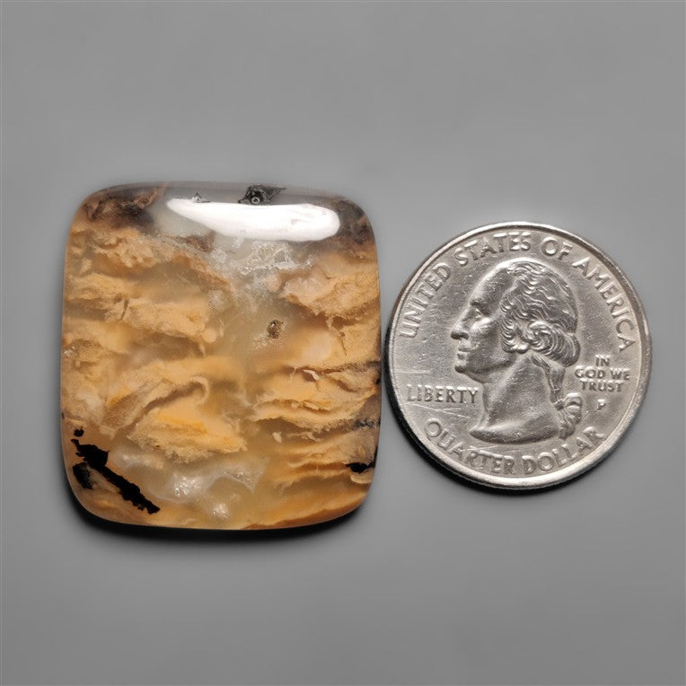 Dendritic Agate