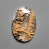 Dendritic Agate