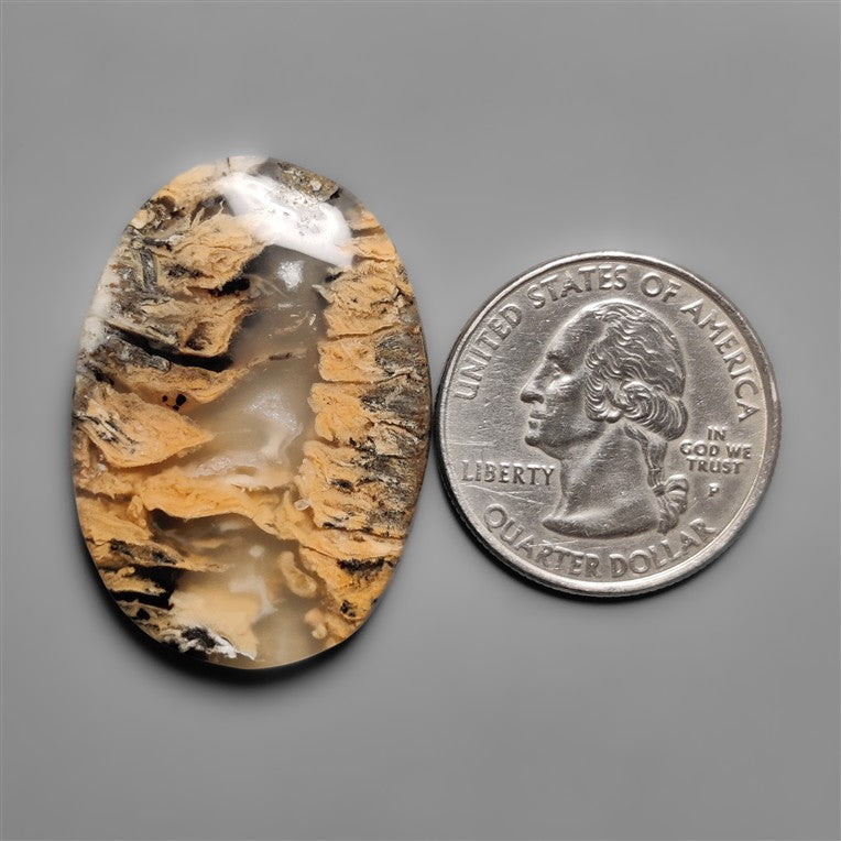 Dendritic Agate