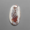 Botswana Agate