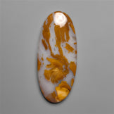 Petrified Wood