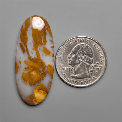 Petrified Wood