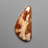 Petrified Wood
