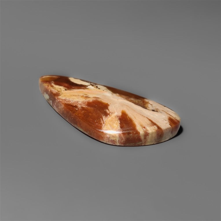 Petrified Wood