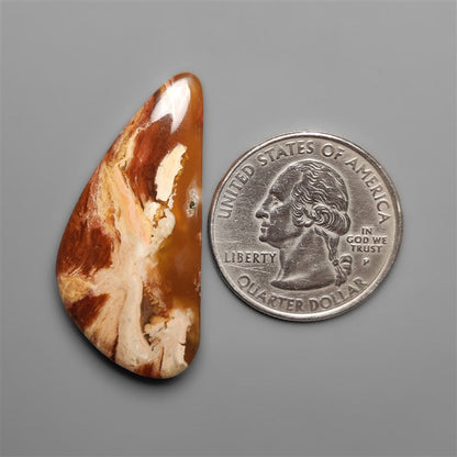 Petrified Wood