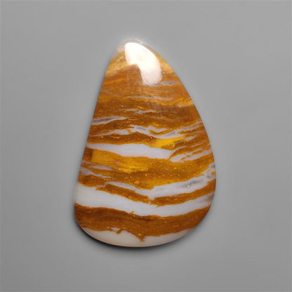 Petrified Wood