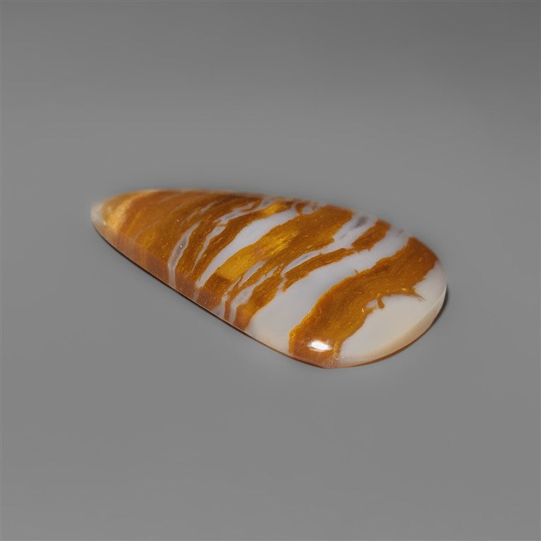Petrified Wood