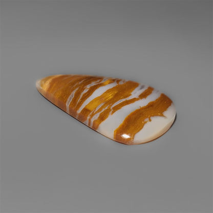 Petrified Wood