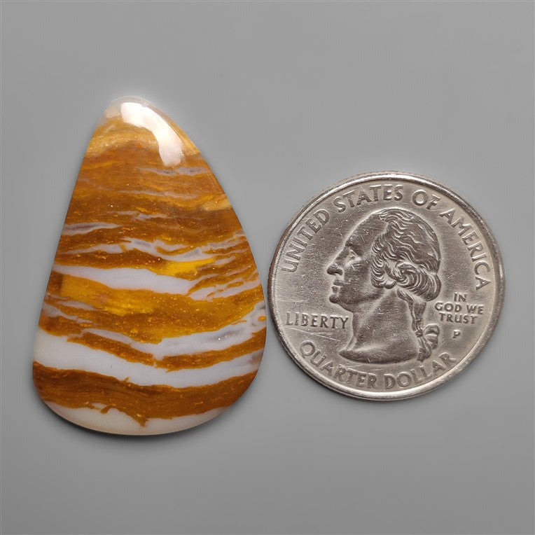Petrified Wood