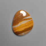Petrified Wood