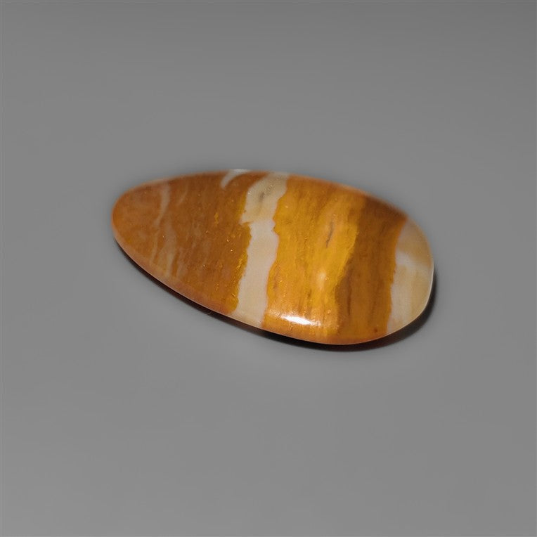 Petrified Wood