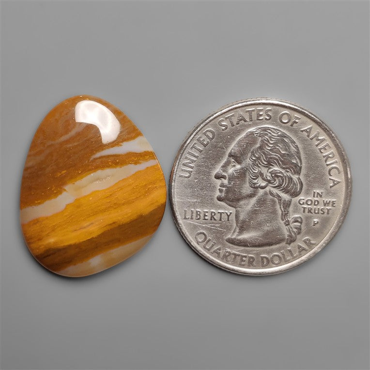 Petrified Wood