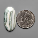 Saturn Chalcedony Cabochon