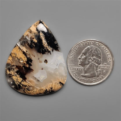 Australian Tiger Dendritic Agate Cabochon