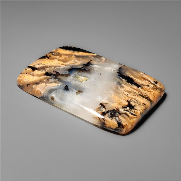 Australian Tiger Dendritic Agate Cabochon