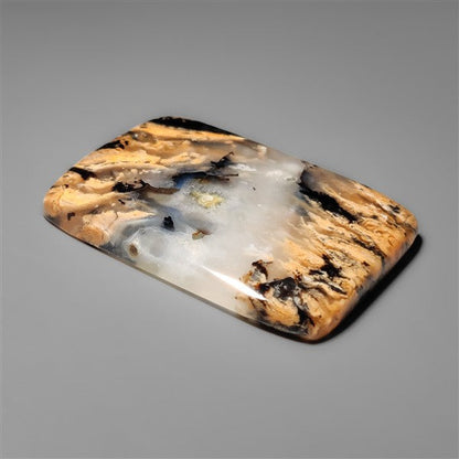 Australian Tiger Dendritic Agate Cabochon
