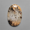 Dendritic Agate