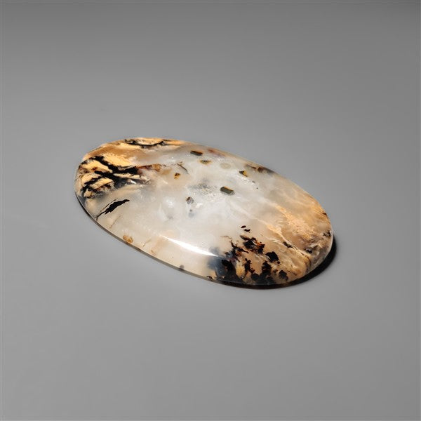 Australian Tiger Dendritic Agate Cabochon